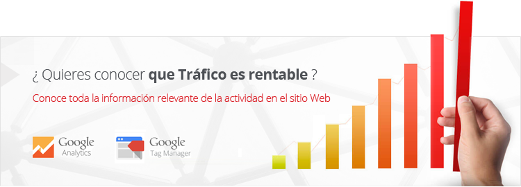 Analítica web